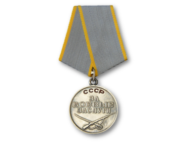 Медаль " ЗА БОЕВЫЕ ЗАСЛУГИ "