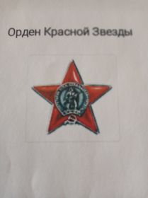 Орден Красной Звёзды, медаль "За отвагу"