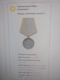 Медаль «За оборону Кавказа» Медаль «За победу над Германией в Великой Отечественной войне 1941–1945 гг.» Медаль «За боевые заслуги»