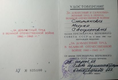 "За Доблестный Труд в Великой Отечественной Войне 1941-1945гг."