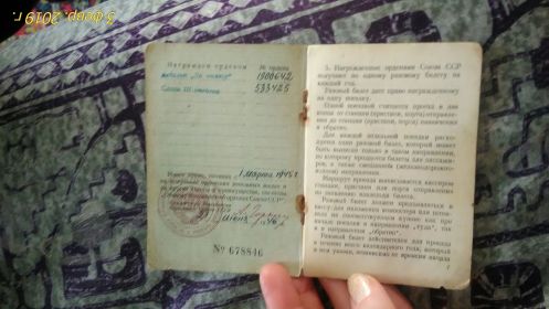 Медаль "За Отвагу", орден "Славы 3 степени"