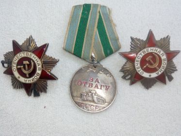 медаль "За отвагу", два ордена Отечественной войны 2 степени