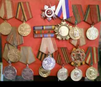 Медали: за отвагу, за боевые заслуги, за взятие Берлина, за победу над Германией. Орден Отечественной войны 2 степени. Семь юбилейных медалей