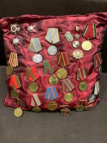 Два ордена «Красной звезды», две медали «За оборону Москвы» и орден Отечественной войны 2-ой степени, медаль <<За победу над Германией в Великой Отечественной войне 1941-1945 года>>