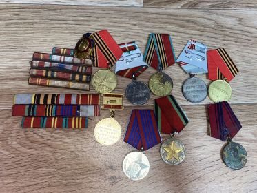 Медаль Жукова,Сорок лет победы , За безупречную службу