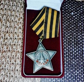 Орден славы 3 степени,медаль За Отвагу,Орден Красной Звезды
