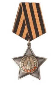 Орден Славы III степени   № 109834
