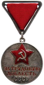 Медаль за Трудовую доблесть
