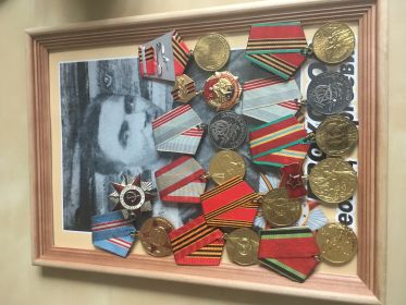 Медали: За боевые заслуги, За оборону Ленинграда , За победу над Германией ,