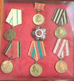 Медаль за оборону Ленинграда , отечественной войны 2 степени, медаль за победу над Германией, юбилейные медали к годовщинам победы по окончанию войны , 20лет ,30лет