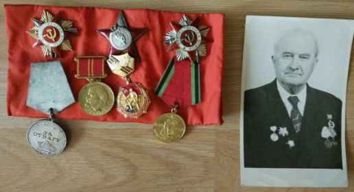 Орден Отечественной войны II степени Орден Отечественной войны I степени Медаль «За оборону Москвы» Медаль «За отвагу» Медаль «За победу над Германией в Великой Отечественной войне 1941–1945