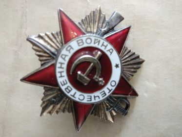 медаль "За отвагу", орденом Отечественной войны I степени и медалью «За доблестный труд в Великой Отечественной войне 1941-1945 гг.