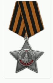 Орден Славы  III ст