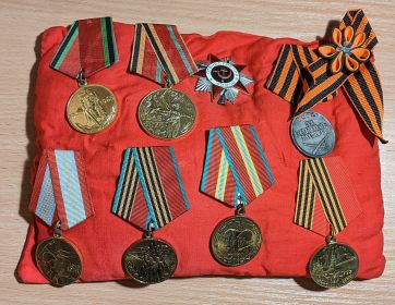 Медаль "За боевые заслуги", медаль "За отвагу", орден "Великой Отечественной войны", юбилейные медали