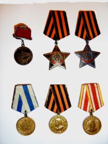 Медаль За боевые заслуги, орден Славы III степени, орден Славы II степени, медаль За взятие Вены, медаль За Победу над Германией, медаль За Победу над Японией.