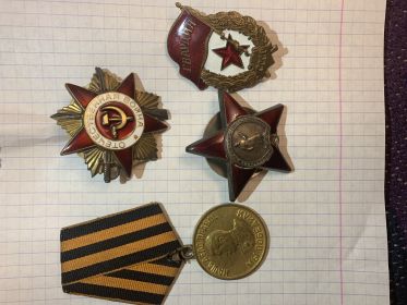 Орден Красной звёзды, ордена Отечественной войны 1-ой и 2-ой степени, медаль за победу над Германией.
