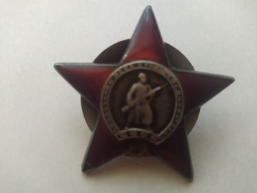 Орден Красной Звезды (за личное мужество, проявленное в боях)
