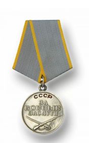 Медали "За боевые заслуги", "За победу над Германией"