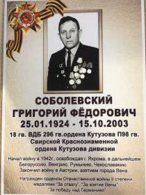 Орден Отечественной войны 2степени, медали «за отвагу» , «за взятие Вены», «за победу над Германией»