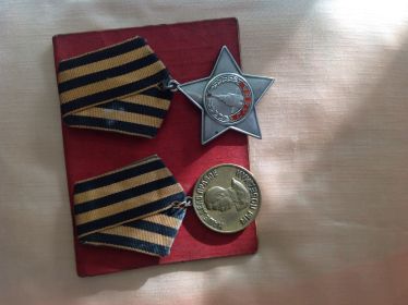 Орден "Слава 3-ей степени",  медаль "за победу над Германией" в ВОВ 1941-1945 г.