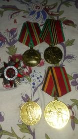 Орден Отечественной Войны 1-ой степени, медали