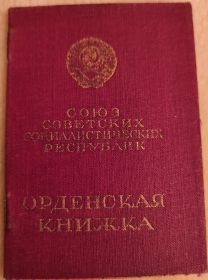 Орден За отвагу и орден Красной Звезды