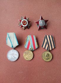 Орден Отечественной Войны 1ст. Красной Звезды, медали За Отвагу, за освобождение Варшавы, за победу над Германией
