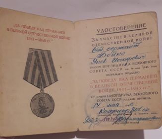 Медаль "За победу над Германией в Великой Отечественной войне 1941-1945"
