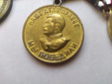 Медаль за Победу над фашистской Германией