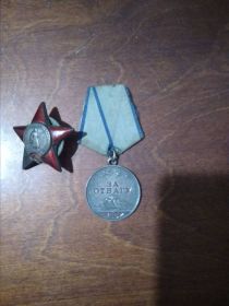 Орден Красной Звезды, Медаль "За отвагу"