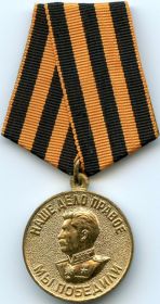 «орден Отечественной войны, медаль «За боевые заслуги», орден Красной Звезды, медаль «За отвагу», «За победу над Германией»,