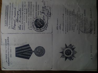 Медаль «За боевые заслуги», Орден Отечественной войны I степени