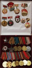 Орден славы III степени, Орден красной звезды, Орден отечественной войны II степени, медаль за взятие Кенигсберга, медалью «За победу над Германией», другие юбилейные медали