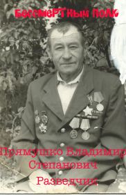 Орден Славы,Медаль за отвагу, За оборону Кавказа, Медаль за взятие Будапешта, За  победу над Германией, Орде Отечественной войны.нией .