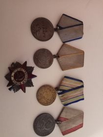 медаль "За отвагу", медаль "За боевые заслуги", медаль "За оборону Кавказа", орден "Отечественной войны"