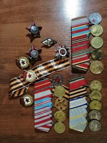 Медаль за боевые заслуги(2 штуки), Медаль за взятие Берлина, Медаль за освобождение Варшавы, Орден отечественной войны, Орден красного знамени(3 штуки), Красная звезда(2 штуки)
