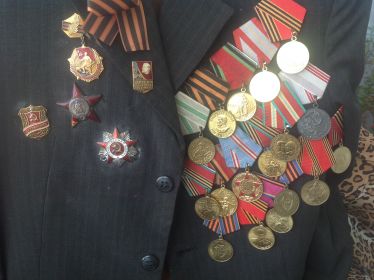 орденом Красной звезды и орденом Отечественной войны, а так же был награжден медалями:  «За отвагу»,  «За взятие Будапешта», «За победу над Германией»