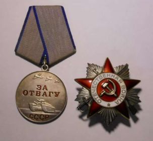 Орден отечественной войны, орден за отвагу