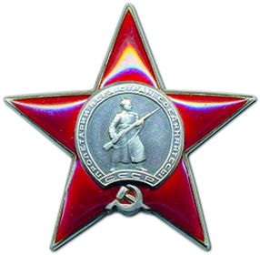 Орден Красной Звезды, медаль "За боевые заслуги", 2 медали "За Отвагу", медаль "За освобождение Варшавы", медаль "За победу над Германией"