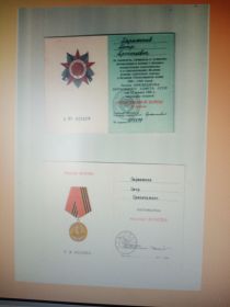 Орден "Отечественной войны 2 степени", медаль "Жукова"