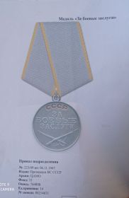 "Медаль за боевые заслуги"