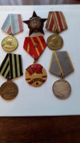 Орден Красной Звезды, медалью за боевые заслуги, за взятие Кенигсберга, за взятие Вены, за победу над Германией, Орденом КНР за победу над Японией