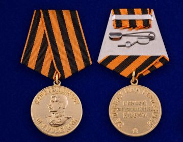 Медаль За победу над Германией в Великой Отечественной войне 1941-1945 гг