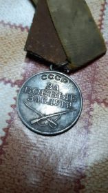 две Медали «За боевые заслуги»