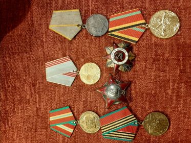 Орден Красной Звезды, орден Отечественной войны 1 ст., медаль За боевые заслуги ,за Победу над Германией в ВОВ.