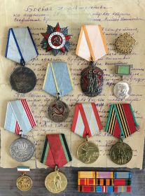 Медаль " За отвагу ", " За трудовое отличие ", Серебряная медаль М. Б. Грекова за отражение темы Великой Отечественной войны в изобразительном искусстве ",