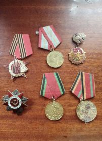 Медаль «За отвагу» Орден Славы III степени Орден Отечественной войны II степени