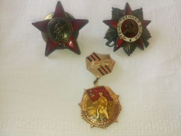 Орден Красной Звезды, Орден Отечественной войны 1 степени, медали.