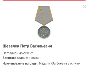 Орден Красной Звезды, Орден Славы 3 степени,Медаль за Отвагу