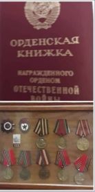 Награждён орденом Отечественной звезды || степени, медалью за взятие Германии и медалью Жукова.